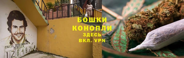 сатива Балахна