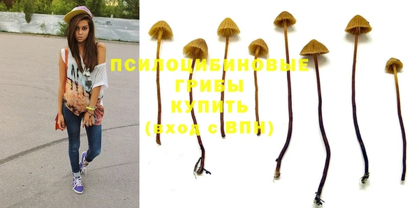 бошки Баксан