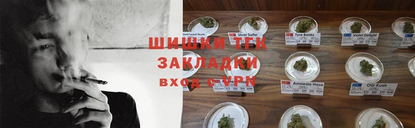 сатива Балахна