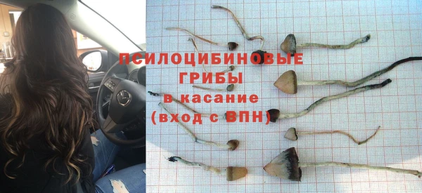 индика Балабаново