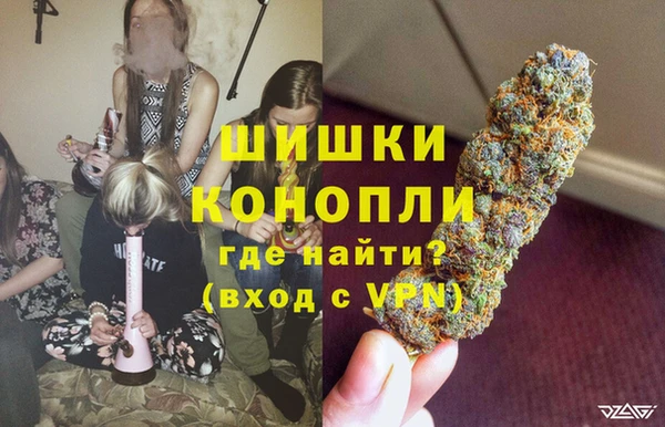 сатива Балахна