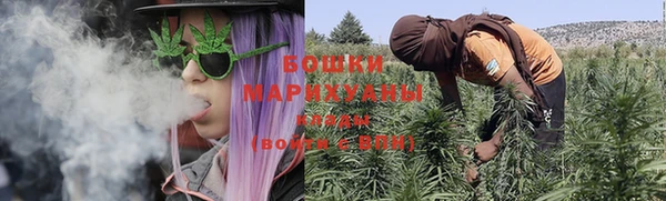 индика Балабаново