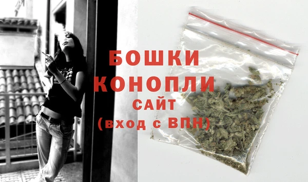 сатива Балахна
