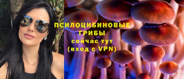 бошки Баксан