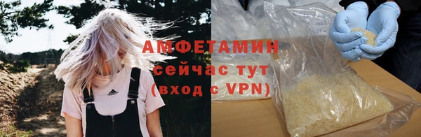 индика Балабаново