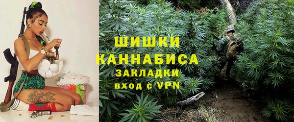 сатива Балахна